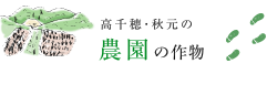 高千穂・秋元の農園の作物